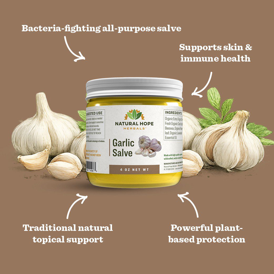 Garlic Salve - Image 3