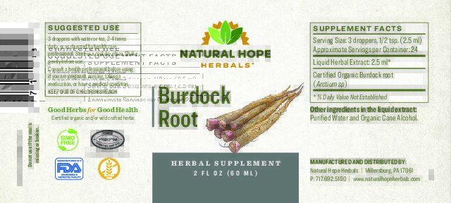 Burdock Root - Image 2