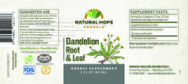 Dandelion Root & Leaf - Image 2