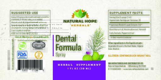 Dental Formula Spray - Image 2