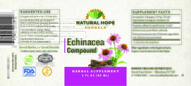 Echinacea Compound - Image 2