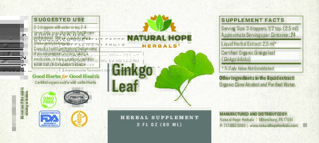 Ginkgo Leaf - Image 2