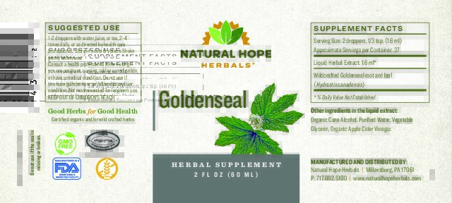 Goldenseal - Image 2