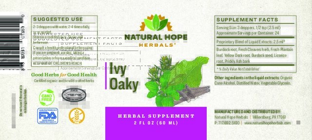 Ivy Oaky - Image 3