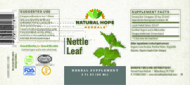Nettle Leaf - Image 2