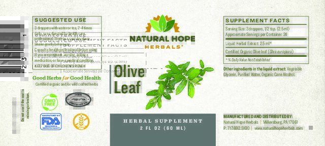 Olive Leaf - Image 2