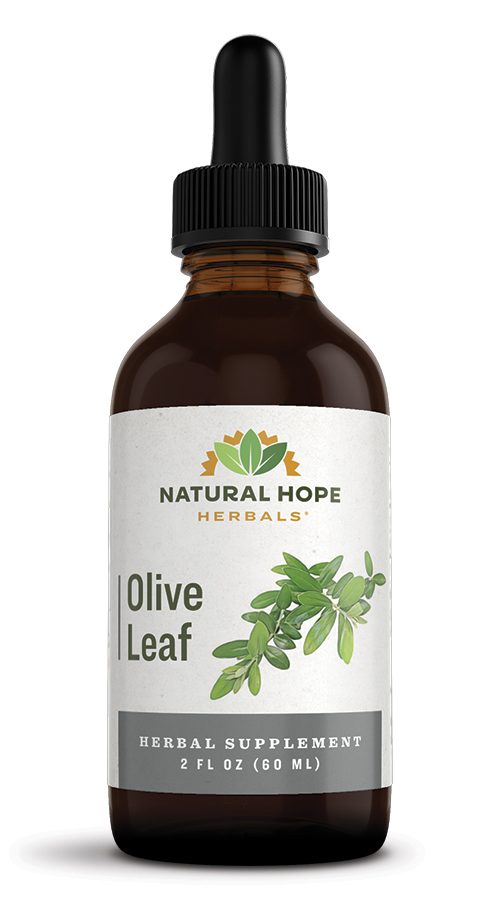 dropper bottle labeled natural hope herbals olive leaf