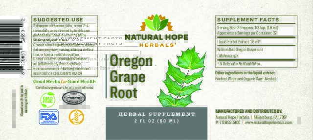 Oregon Grape Root - Image 2