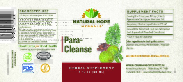 Para-Cleanse - Image 2