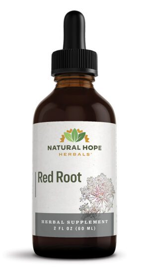 dropper bottle of natural hope herbals red root tincture