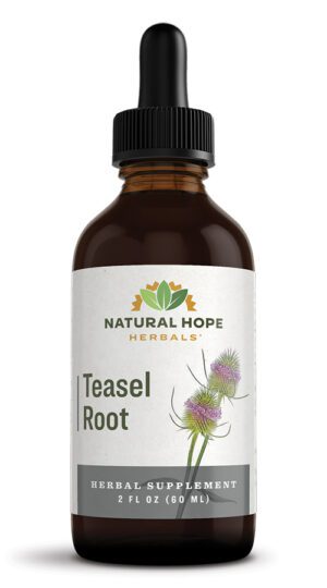 natural hope herbals teasel root tincture in a dark dropper bottle