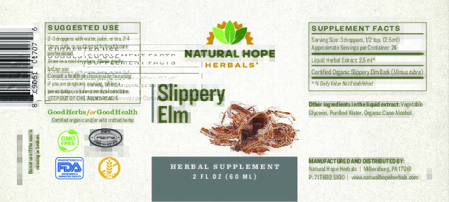 Slippery Elm - Image 2