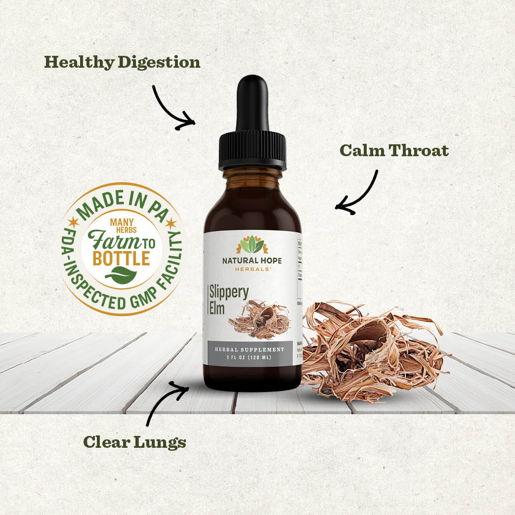 Slippery Elm - Image 3